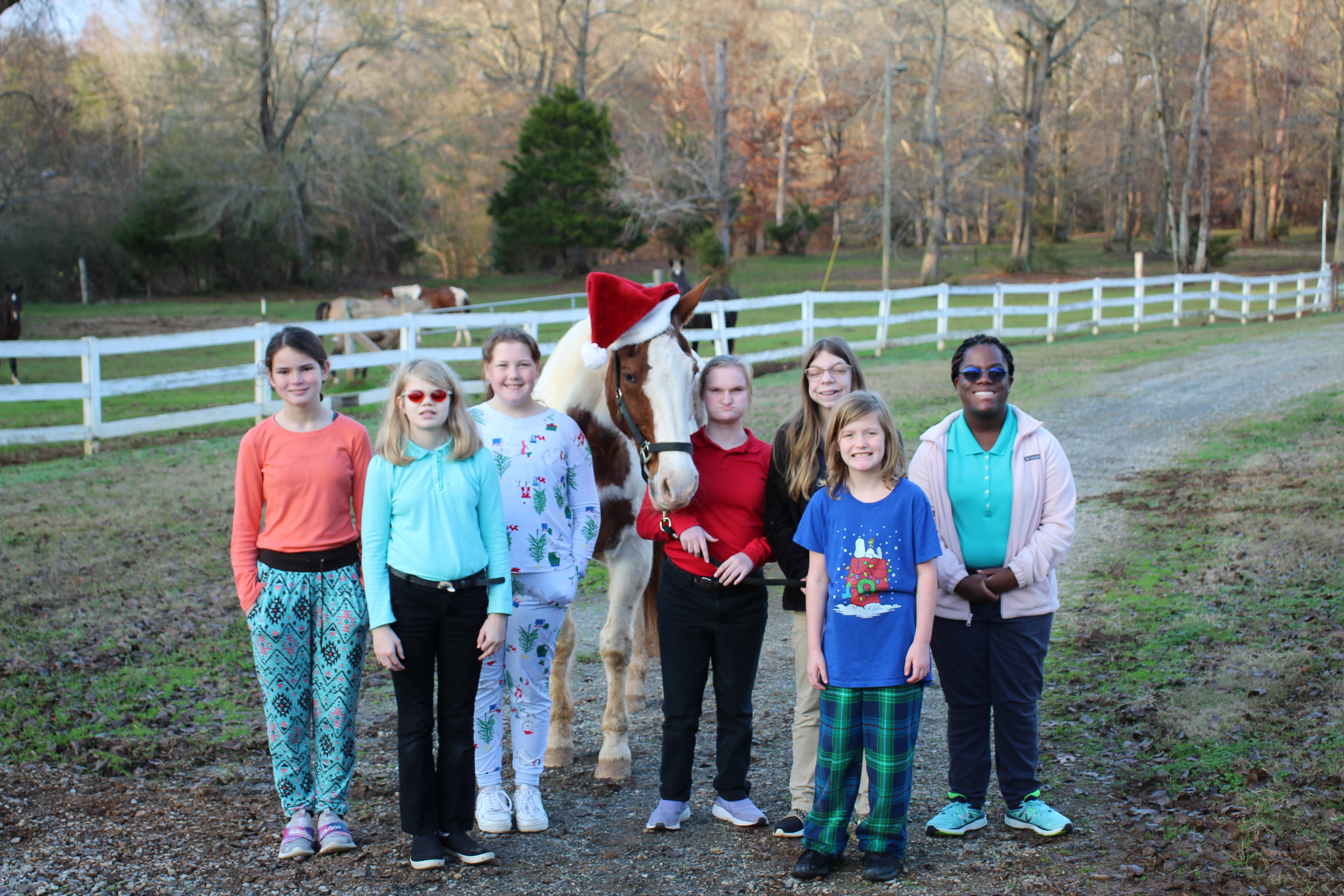 Brown and white horse wearing a Santa hat surrounded by a group of students